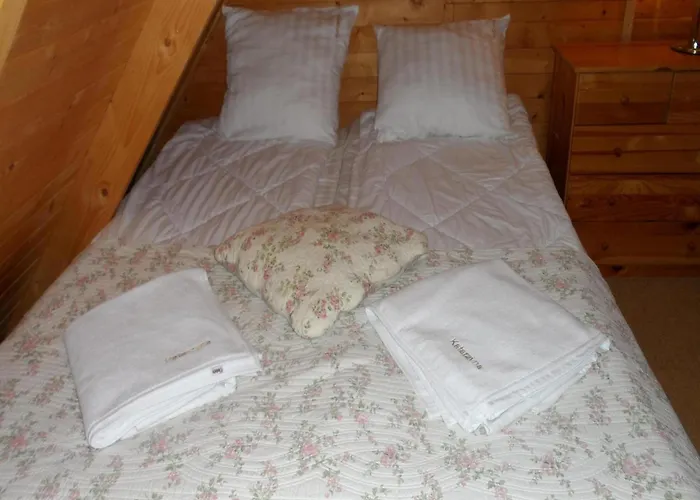 別荘 House In Near The サルビノボ